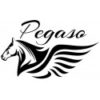 Logo Pegaso - Werner