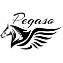 Logo Pegaso - Werner