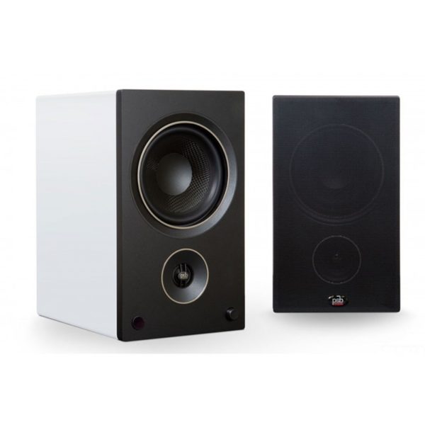 REKKORD AUDIO F100 + PSB SPEAKERS AM5