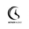 Logo Sendy Audio - Werner