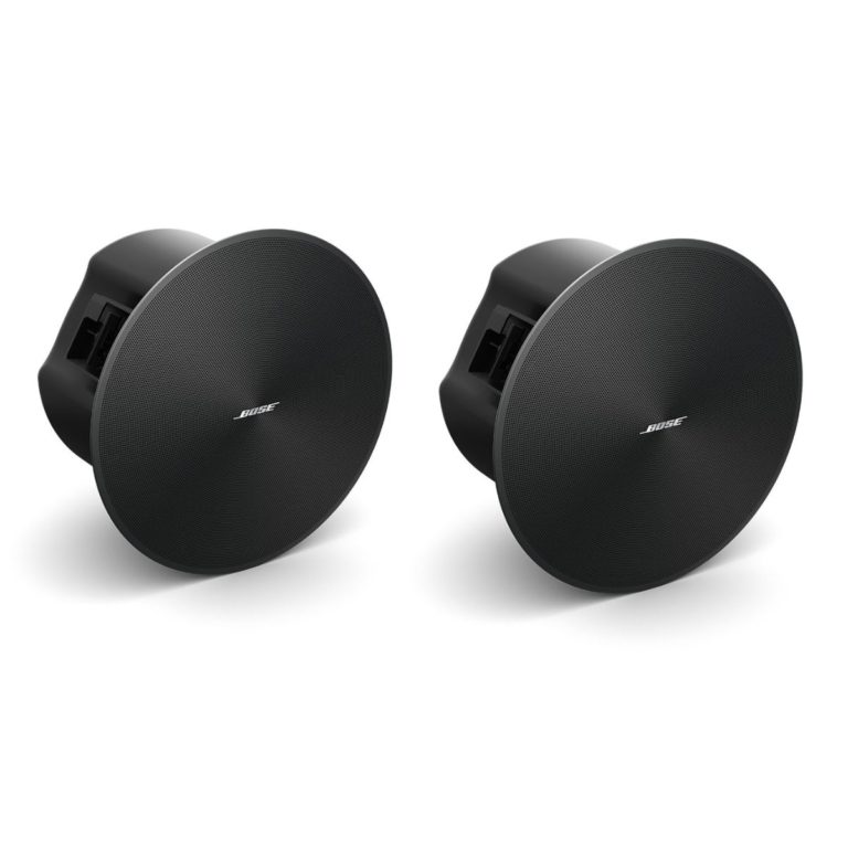 BOSE DESIGNMAX DM6C