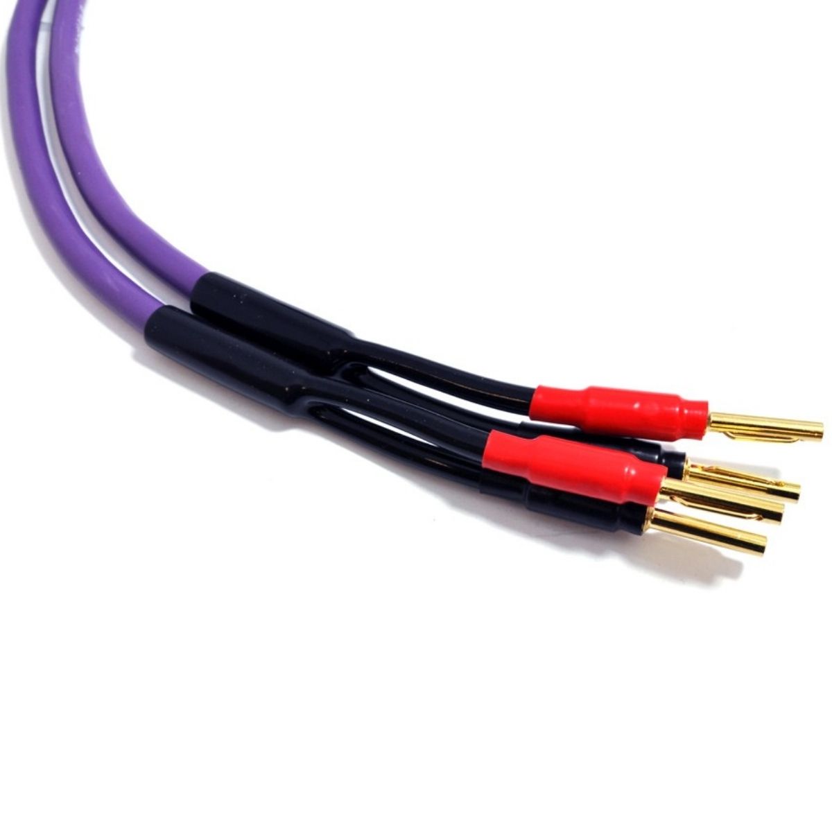 MELODIKA MDSC25 - Imagen 3