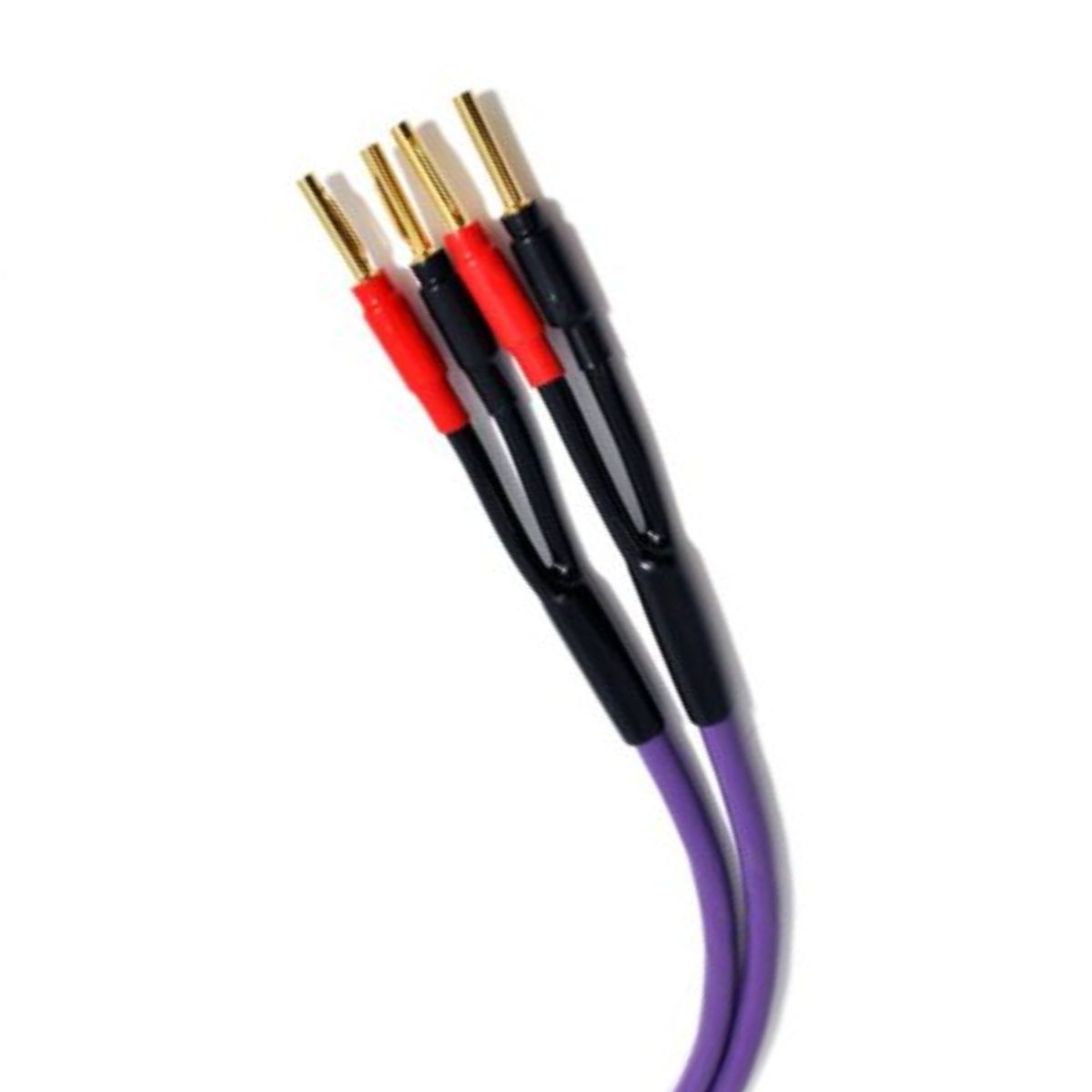 MELODIKA MDSC25 - Imagen 2