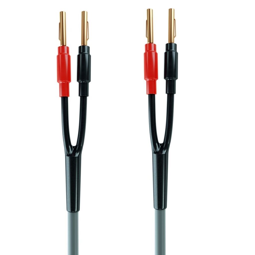 MELODIKA MDSC25G - Imagen 3