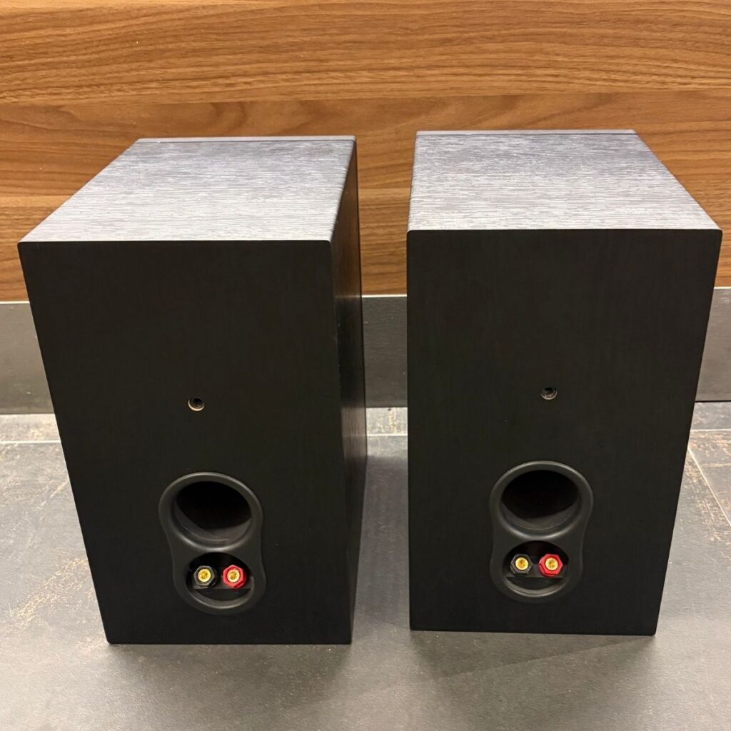 PSB SPEAKERS ALPHA P5 EX-DEMO - Imagen 2