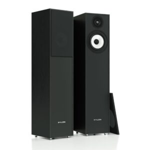 PYLON AUDIO PEARL 20