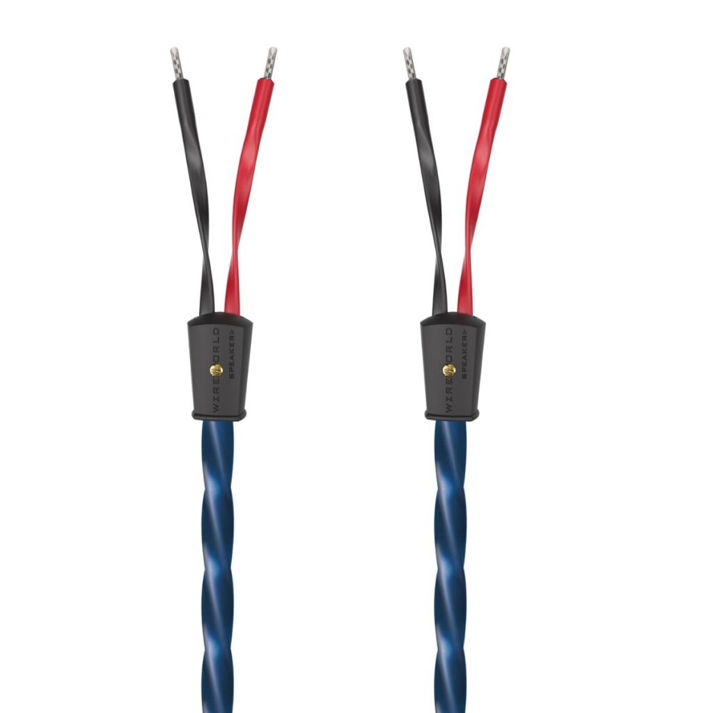 WIREWORLD OASIS 10 (OAS) - Imagen 3