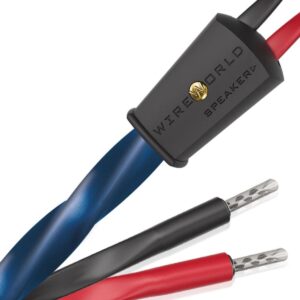 WIREWORLD OASIS 10 (OAS)