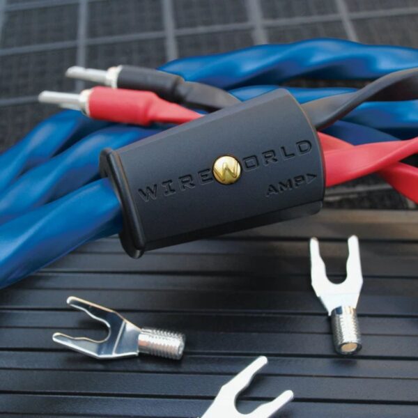WIREWORLD OASIS 10 (OAS) - Imagen 2