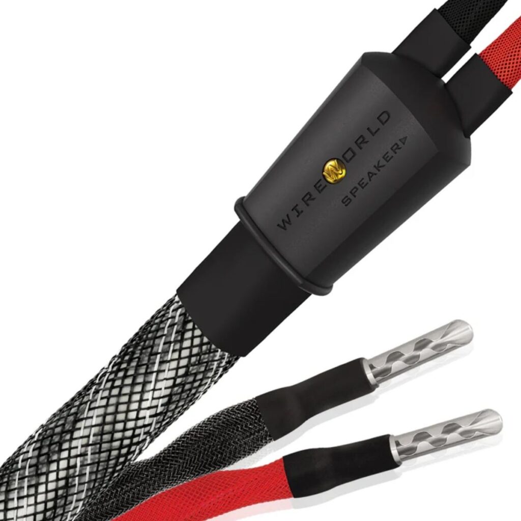 WIREWORLD PLATINUM ECLIPSE 10 (PES)