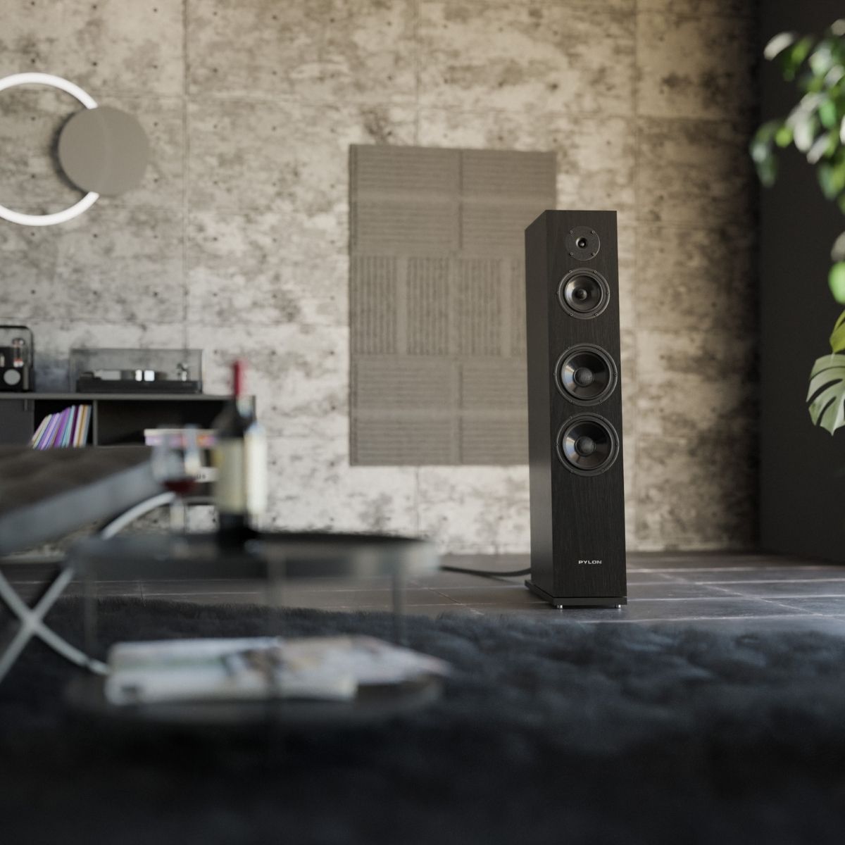 PYLON AUDIO DIAMOND 30 MKII - Imagen 4