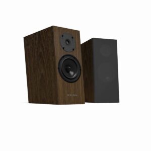 PYLON AUDIO DIAMOND MONITOR 15 MKII