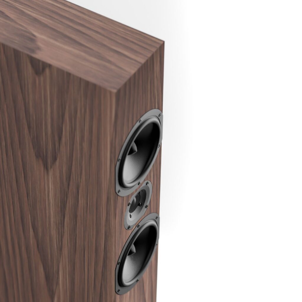 PYLON AUDIO ZIRKON 20 - Imagen 4