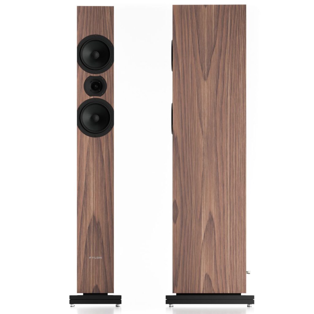 PYLON AUDIO ZIRKON 20 - Imagen 2