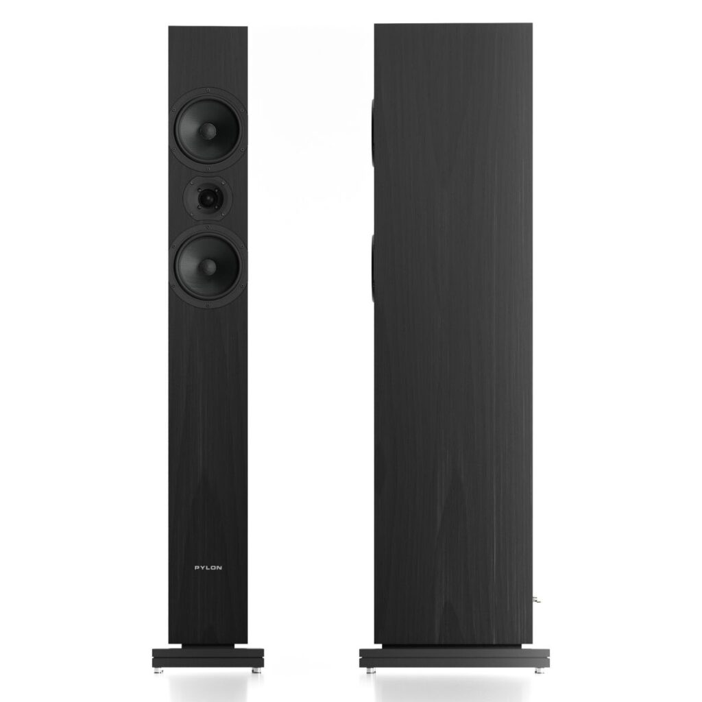 PYLON AUDIO ZIRKON 20 - Imagen 7