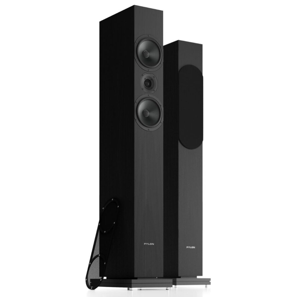 PYLON AUDIO ZIRKON 20 - Imagen 6