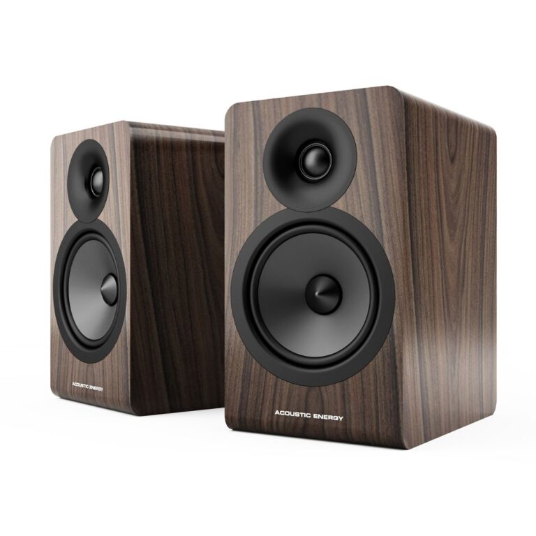 ACOUSTIC ENERGY AE100