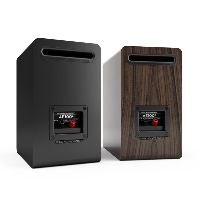 ACOUSTIC ENERGY AE100