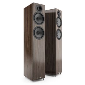 ACOUSTIC ENERGY AE109
