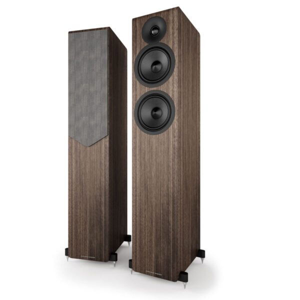 ACOUSTIC ENERGY AE309 - Imagen 4