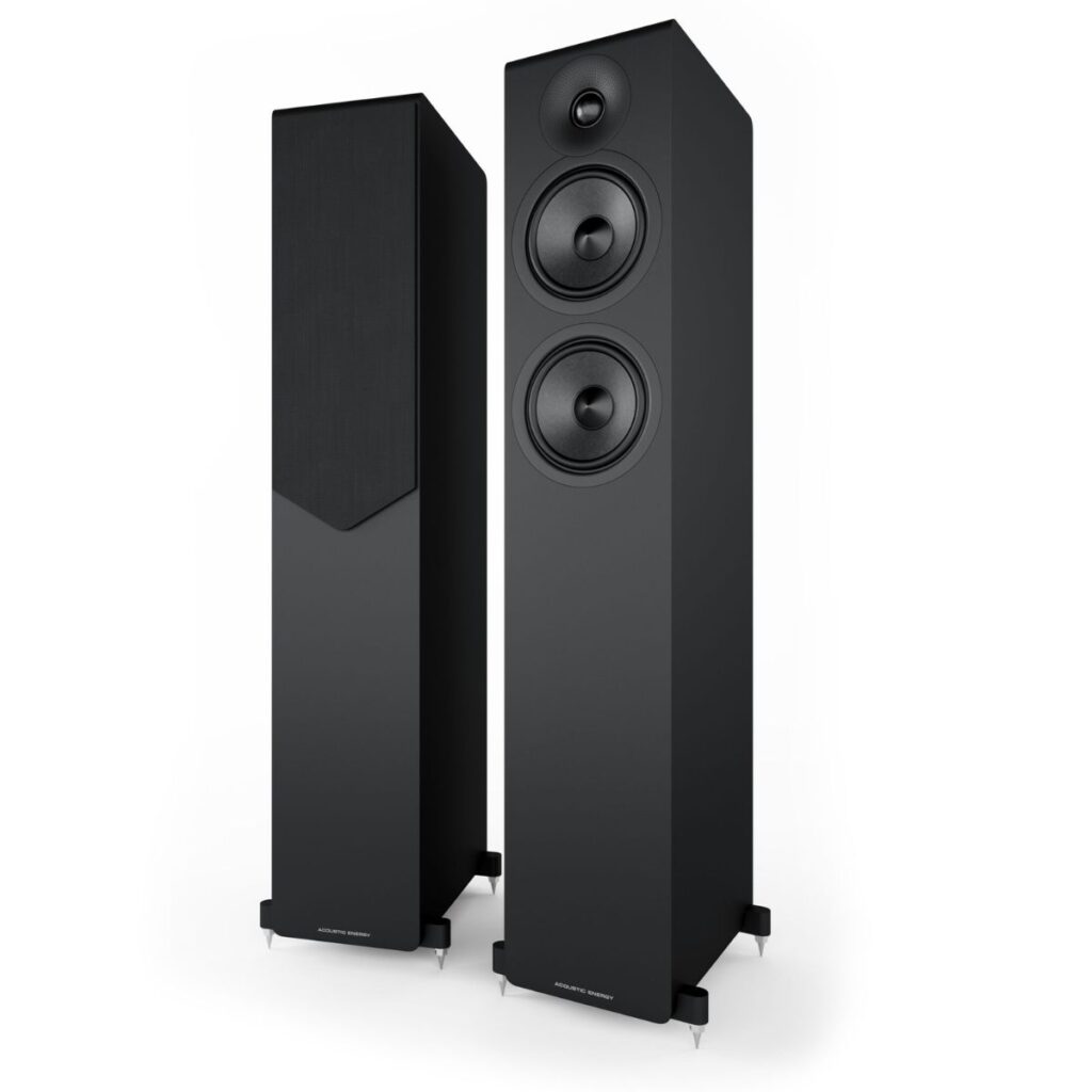 ACOUSTIC ENERGY AE309 - Imagen 2