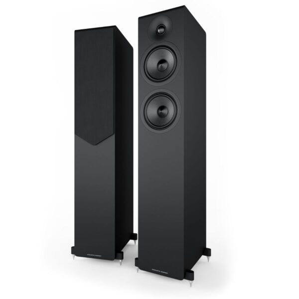 ACOUSTIC ENERGY AE309 - Imagen 2