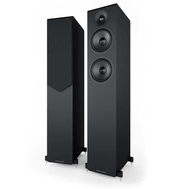 ACOUSTIC ENERGY AE309