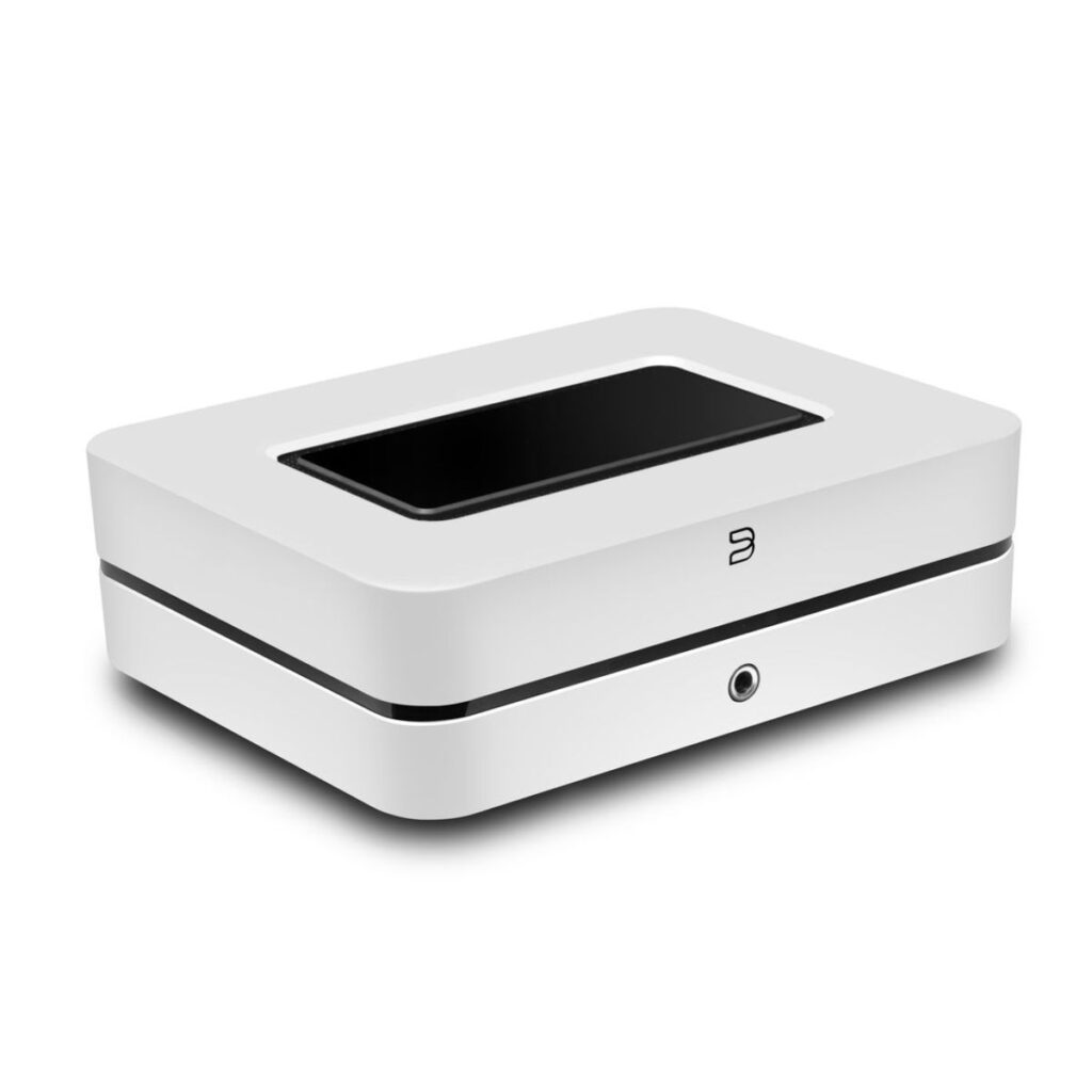 BLUESOUND POWERNODE N331 - Imagen 9
