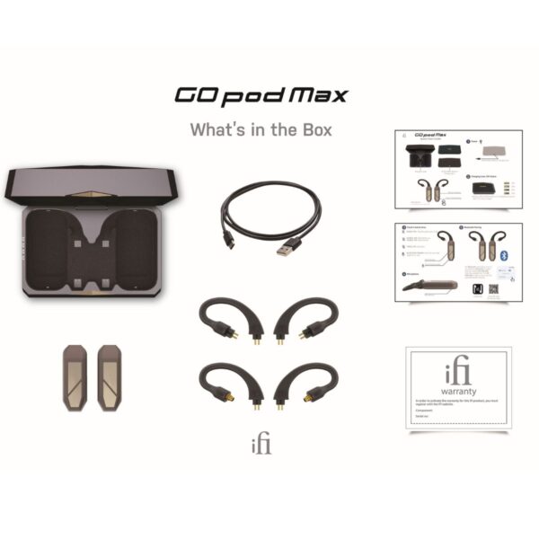 IFI AUDIO GO POD MAX - Imagen 6