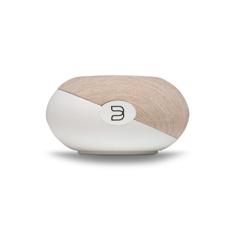 BLUESOUND PULSE CINEMA MINI
