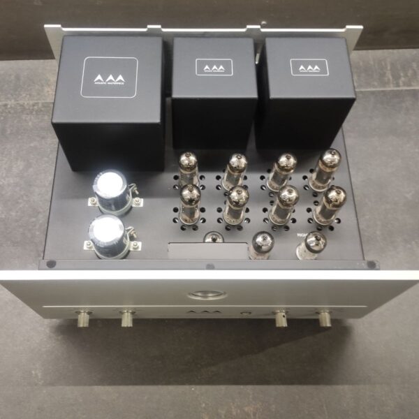 ACOUSTIC MASTERPIECE AM-201H - Imagen 7