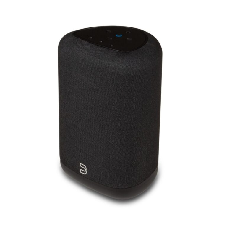BLUESOUND PULSE FLEX (P130)