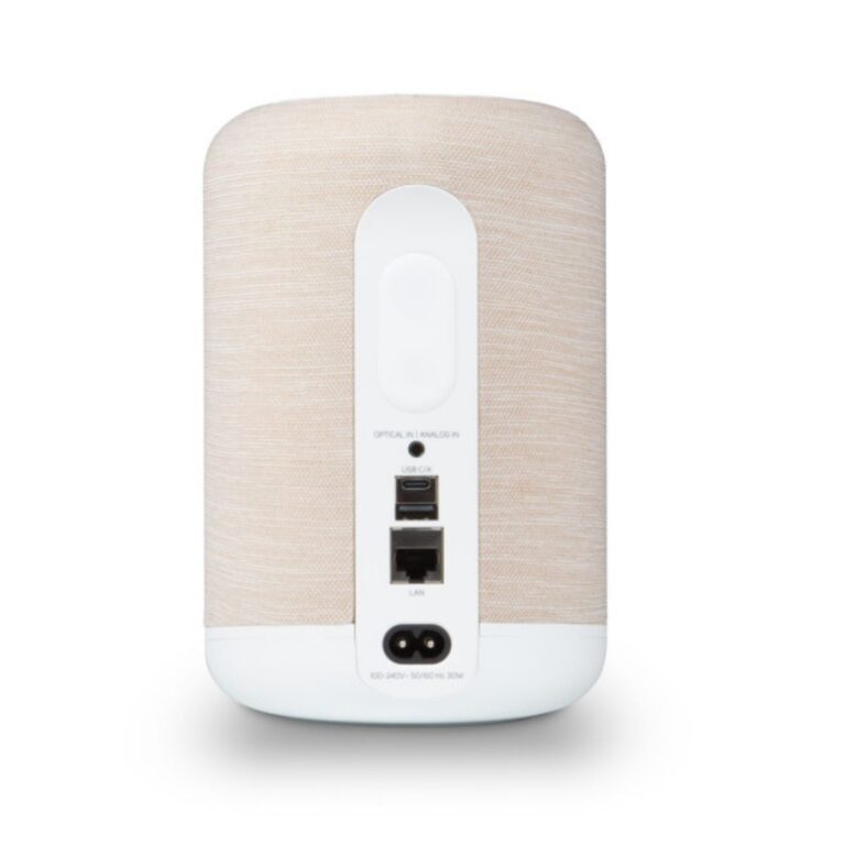 BLUESOUND PULSE FLEX (P130)