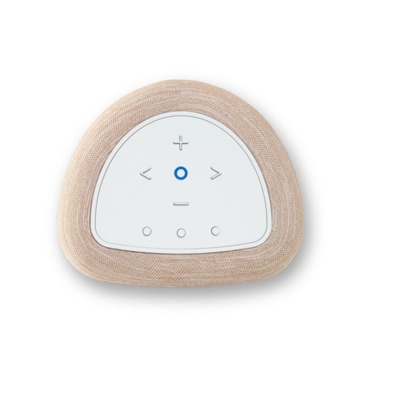 BLUESOUND PULSE FLEX (P130)