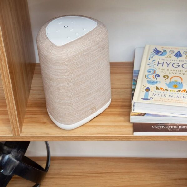 BLUESOUND PULSE FLEX (P130) - Imagen 10