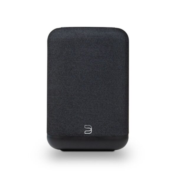 BLUESOUND PULSE FLEX (P130)