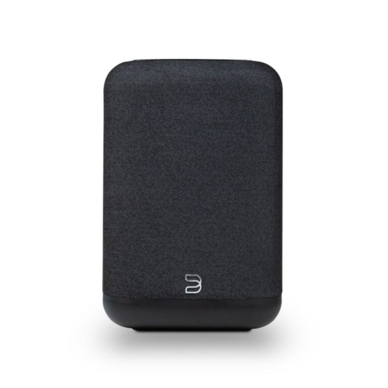 BLUESOUND PULSE FLEX (P130)
