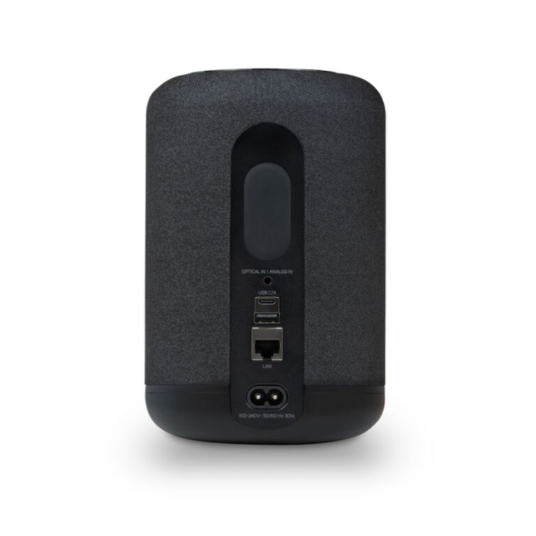 BLUESOUND PULSE FLEX (P130)