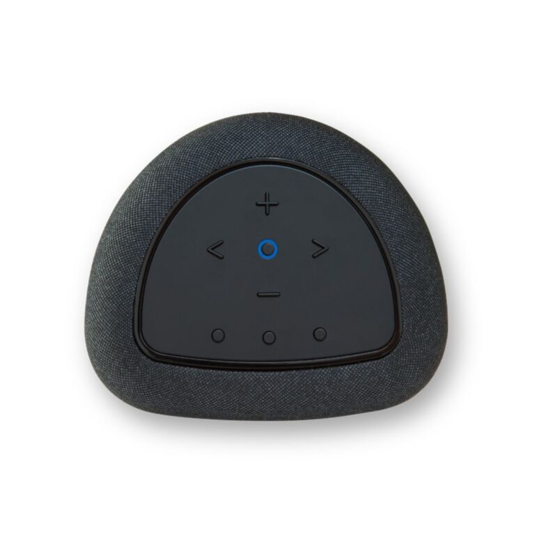 BLUESOUND PULSE FLEX (P130)
