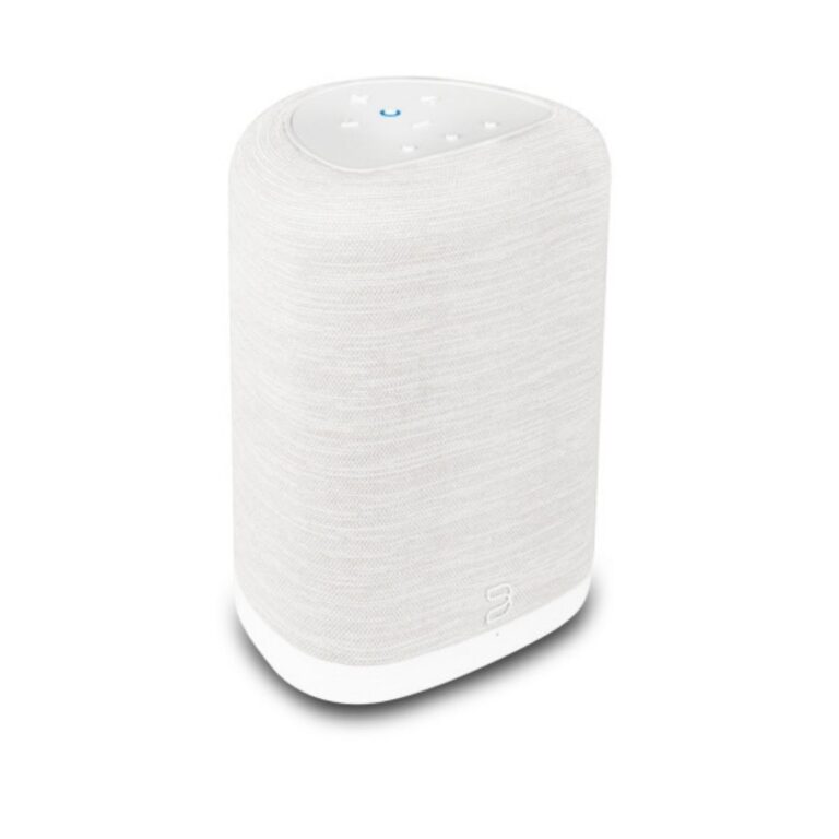 BLUESOUND PULSE FLEX (P130)