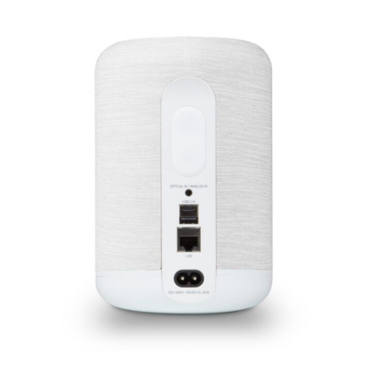 BLUESOUND PULSE FLEX (P130)