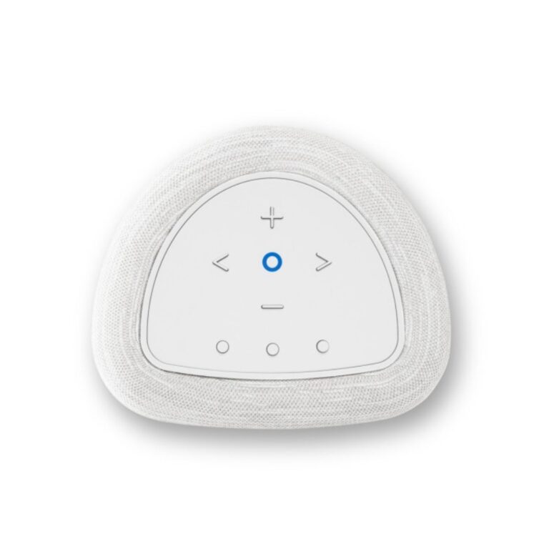 BLUESOUND PULSE FLEX (P130)