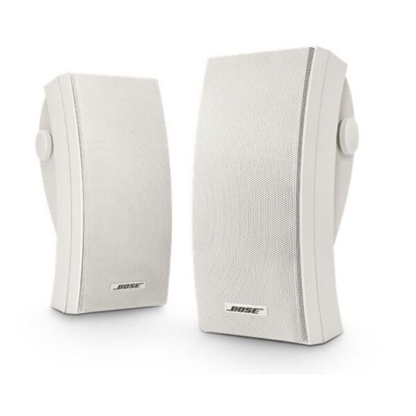 BOSE 251 ENVIRONMENTAL - Imagen 3