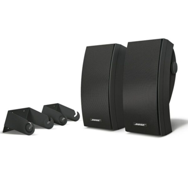 BOSE 251 ENVIRONMENTAL - Imagen 2