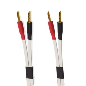 WIREWORLD HORIZON (HOS)