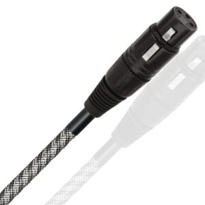 WIREWORLD MICRO PLATINUM ECLIPSE BALACEND DIGITAL (MPA)