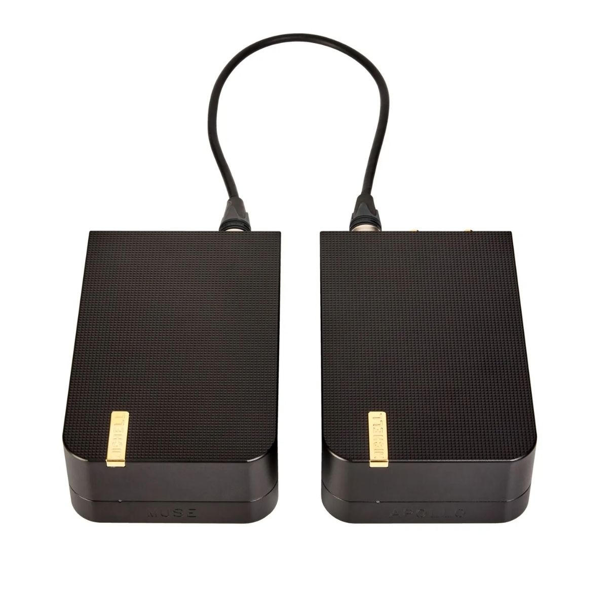 MICHELL APOLLO - Imagen 2