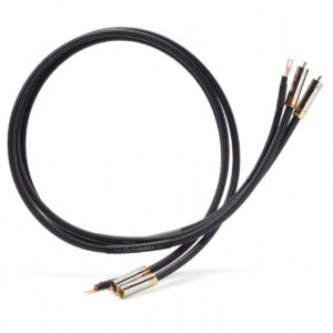 SHUNYATA RESEARCH GAMMA PHONO