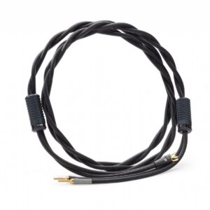 SHUNYATA RESEARCH GAMMA SPEAKER