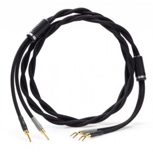 SHUNYATA RESEARCH THETA SPEAKER